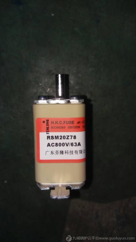 FENLONG品牌-RSM20Z78快速熔斷器