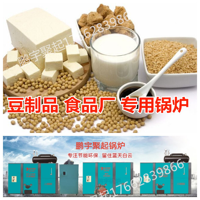 豆制品 食品廠專用生物質(zhì)鍋爐