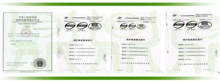 SZS200Q3燃?xì)馊加驼羝l(fā)生器詳情頁(yè)圖片