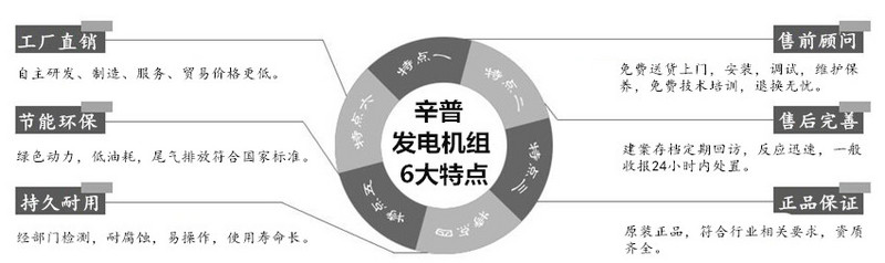 辛普發(fā)電機(jī)組6大特點(diǎn)