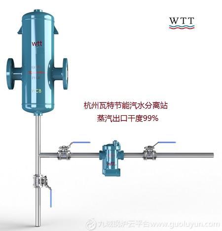 杭州瓦特DF200高效汽水分離器